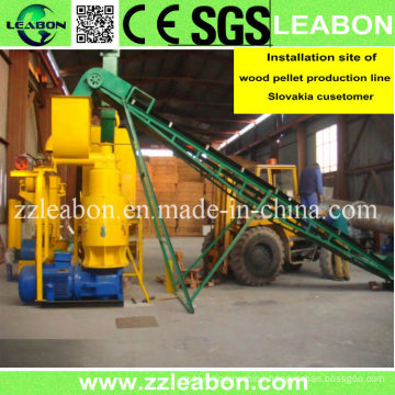 CE/SGS Approved Ring Die Biomass Pelletizing Machine Wood Dust Pellet Making Machine